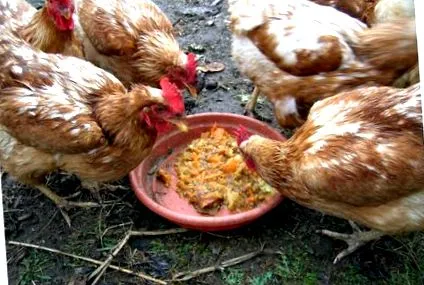 mâncare casă