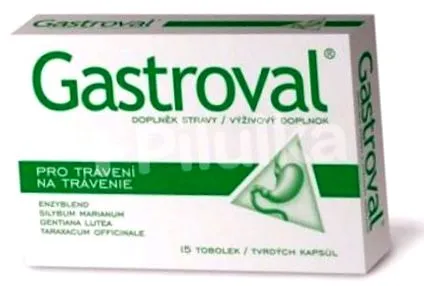 enzime digestive