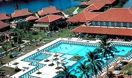 palm club
