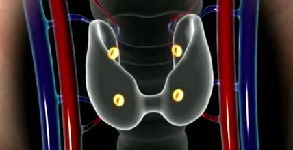 Adresa Endocrinologická