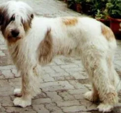 2011 година