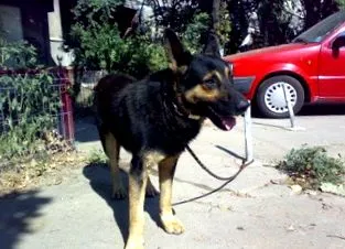2010 година