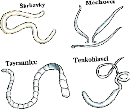 примери
