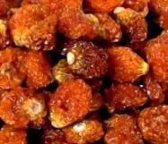 incan goldenberries