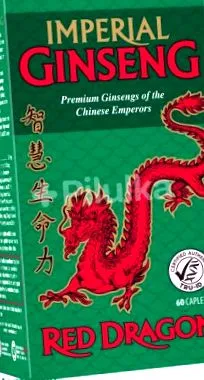 royal dragon