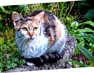 храним