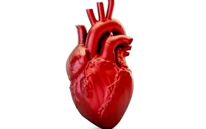 cardiomiopatie
