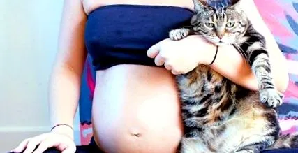 este toxoplasmoza