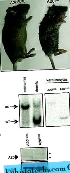 specifică keratinocitelor