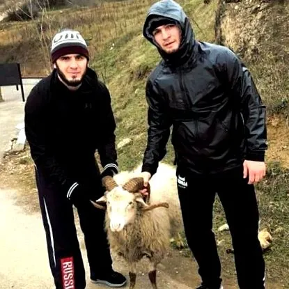 Adăugați pictograma SPORT24 interesat