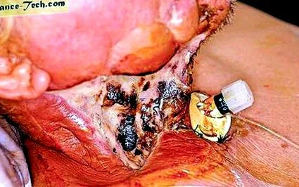 stomatologie stomatologie
