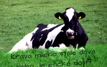 încă povești
