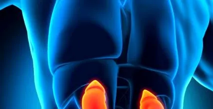 diabetul distruge