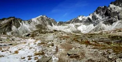 mărar