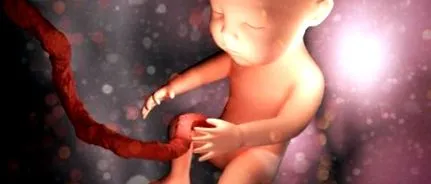 uterin sarcina