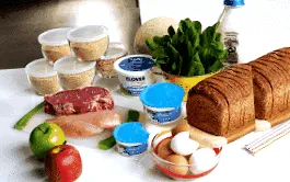 основи