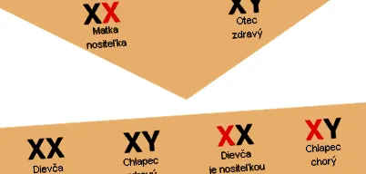 coagulare VIII