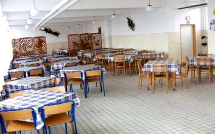 domeniul alimentație
