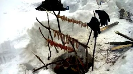 курсове