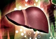 hepatică