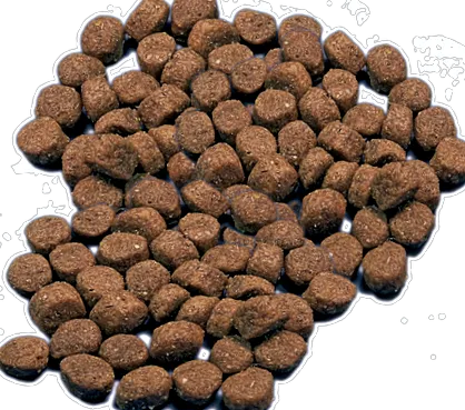 rechizite