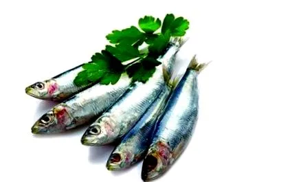 sardine mare