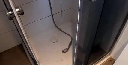 петгодишен