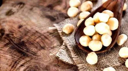 lumea macadamia