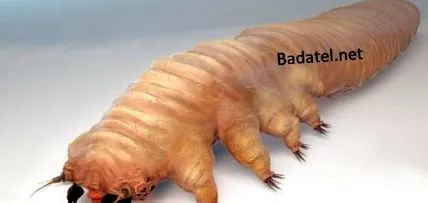 milioane