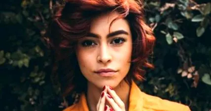 stelară carieră