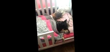 mama mama