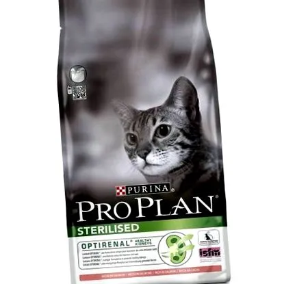 котки