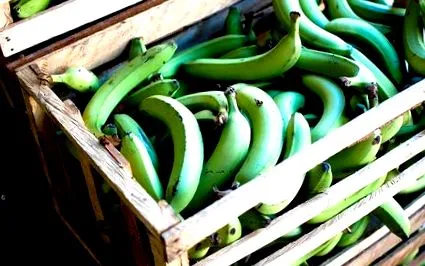Făină verde banane