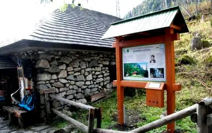 educațional