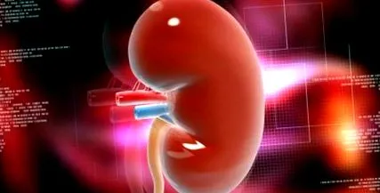 transplant preventiv