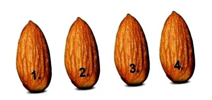 migdalele