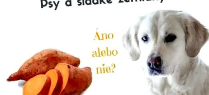mănânce