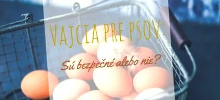 poate mănânce