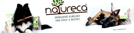 ​​sub formă