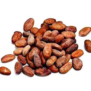 cacao
