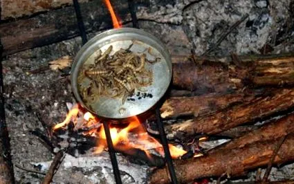 оцеляване
