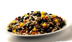 fibre