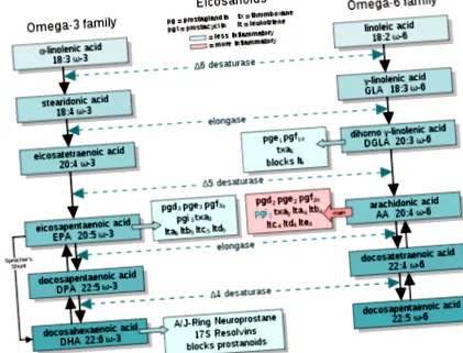 omega-6 fapte