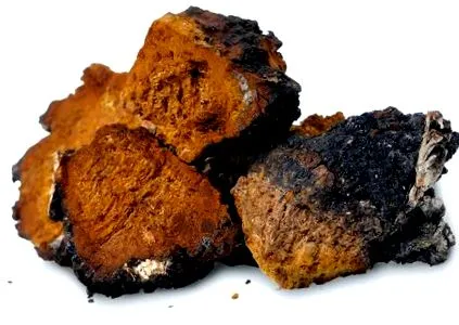 egészséges