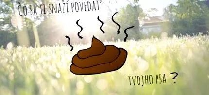 bruno să-ți