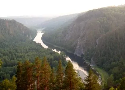 elvarázsolja