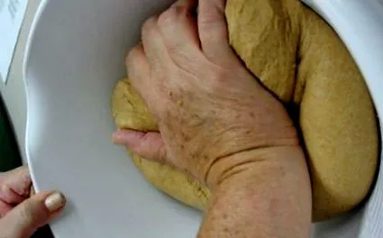 drojdia