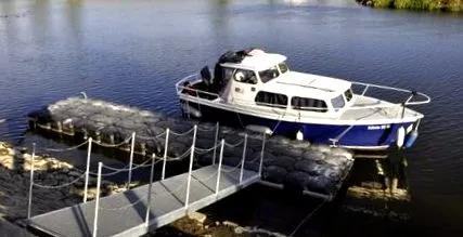 baťa aproape născut