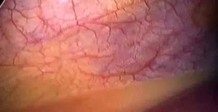 Adresa ambulatoriu