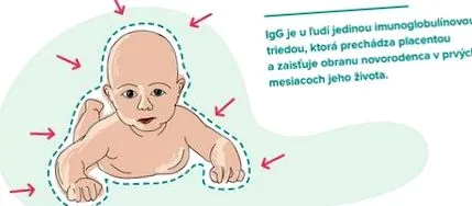 subclase imunoglobuline